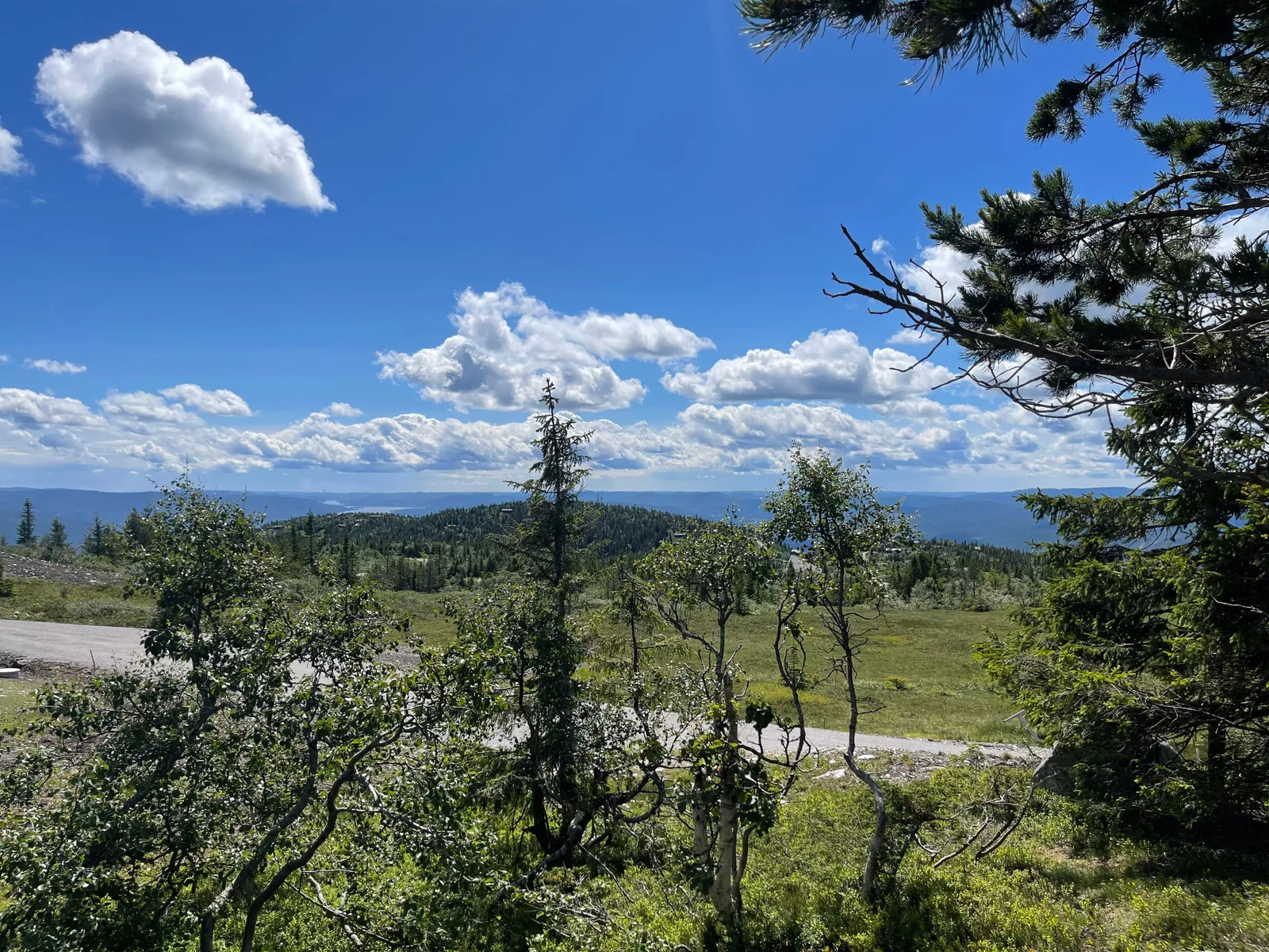 Fantastisk utsiktstomt på Lifjell med panorama utsikt – bilde 1