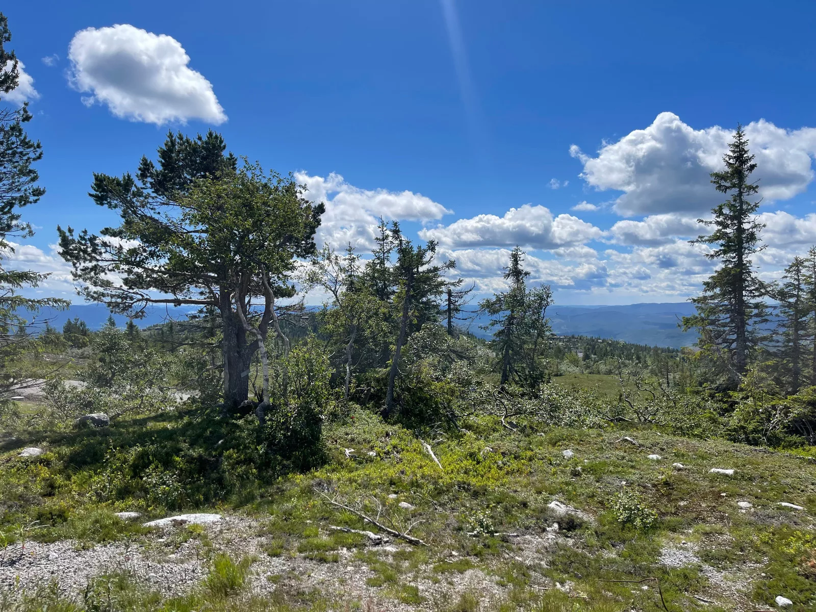 Fantastisk utsiktstomt på Lifjell med panorama utsikt – bilde 2