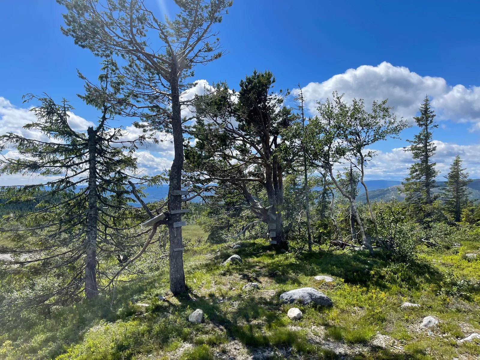 Fantastisk utsiktstomt på Lifjell med panorama utsikt – bilde 3