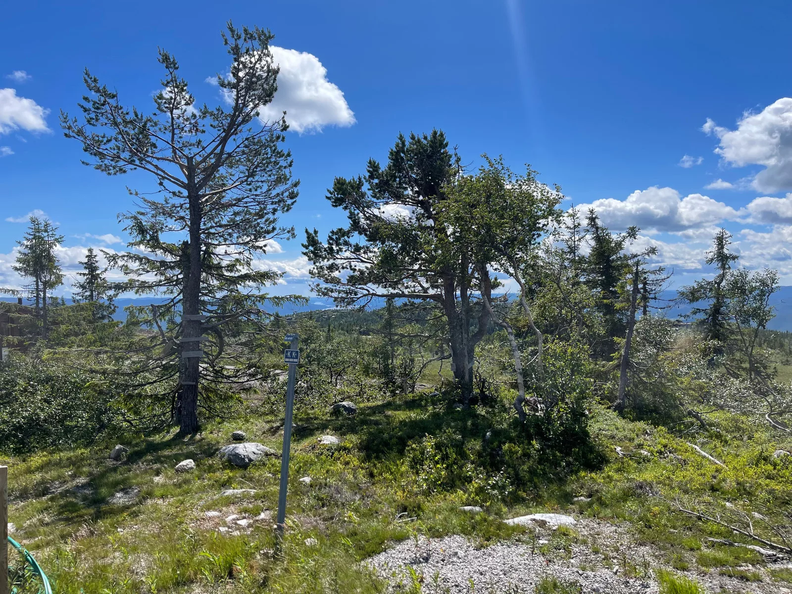 Fantastisk utsiktstomt på Lifjell med panorama utsikt – bilde 4