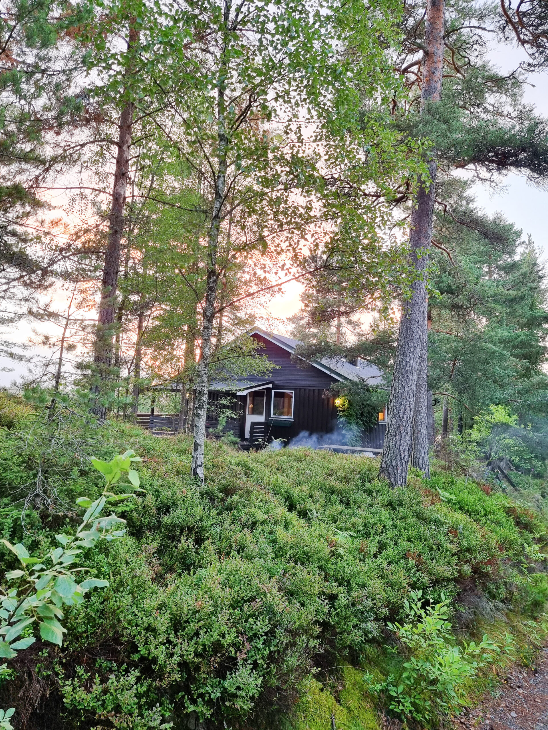 Sentral hytte med gode leieinntekter – bilde 3