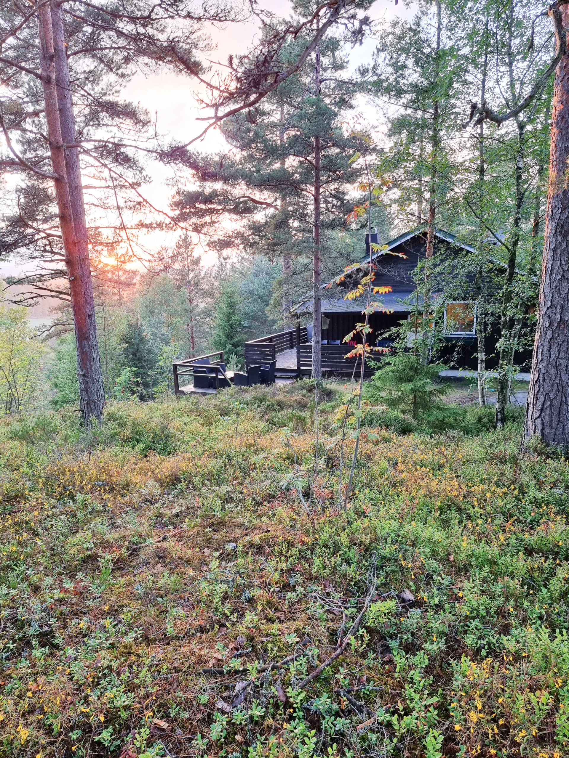 Sentral hytte med gode leieinntekter – bilde 4