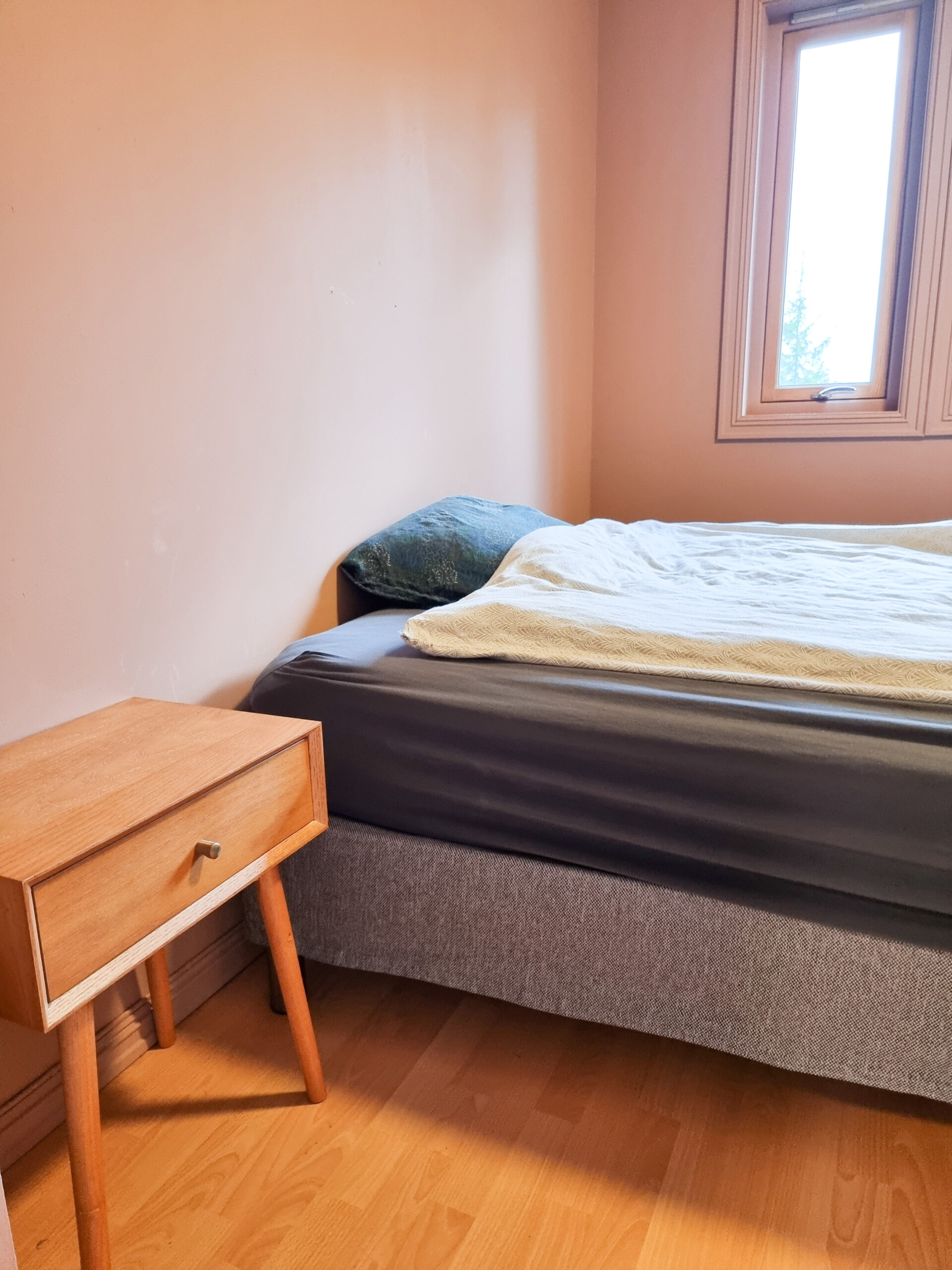Sentral hytte med gode leieinntekter – bilde 6