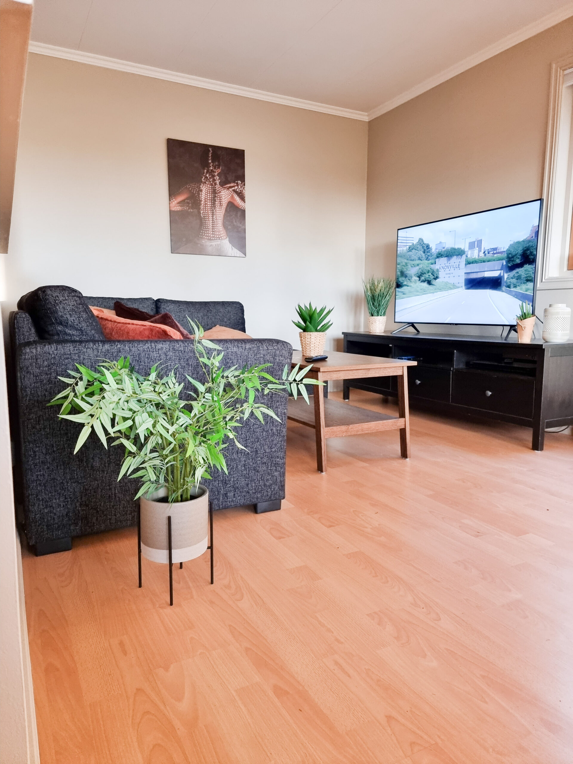 Sentral hytte med gode leieinntekter – bilde 11