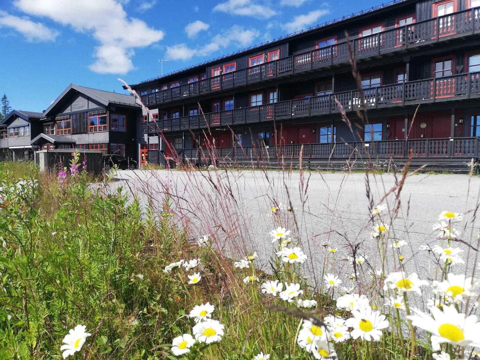 NOREFJELL Treningsenter, bytte i eiendom! – bilde 24