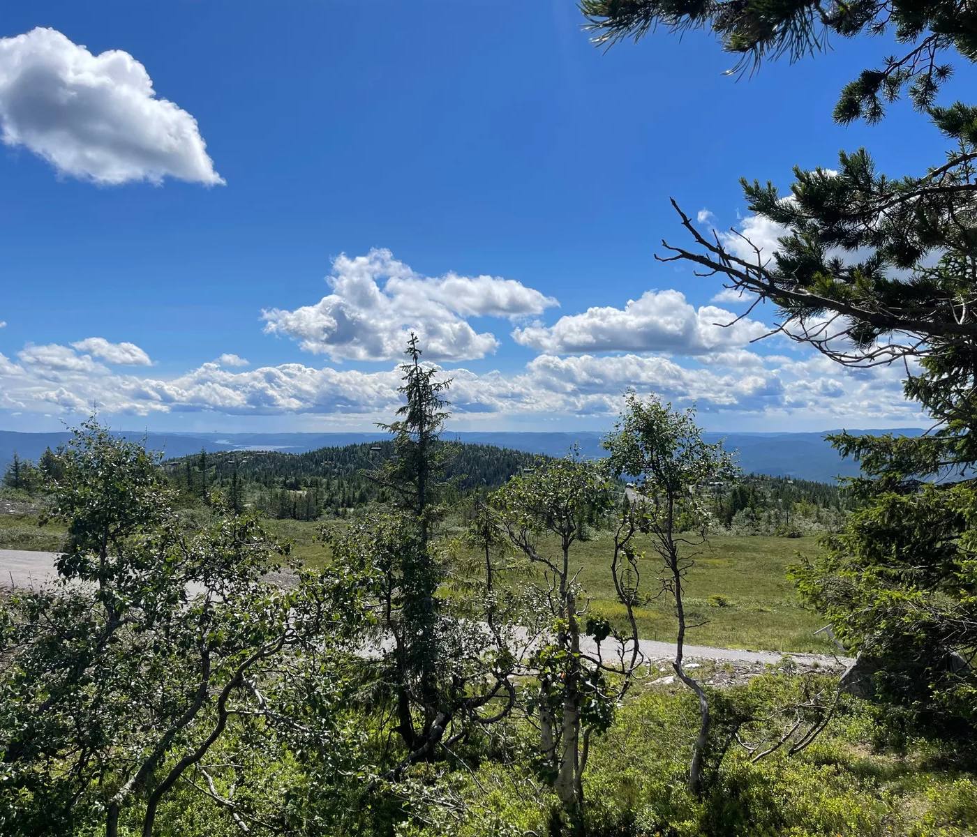 Fantastisk utsiktstomt på Lifjell med panorama utsikt – photo 1