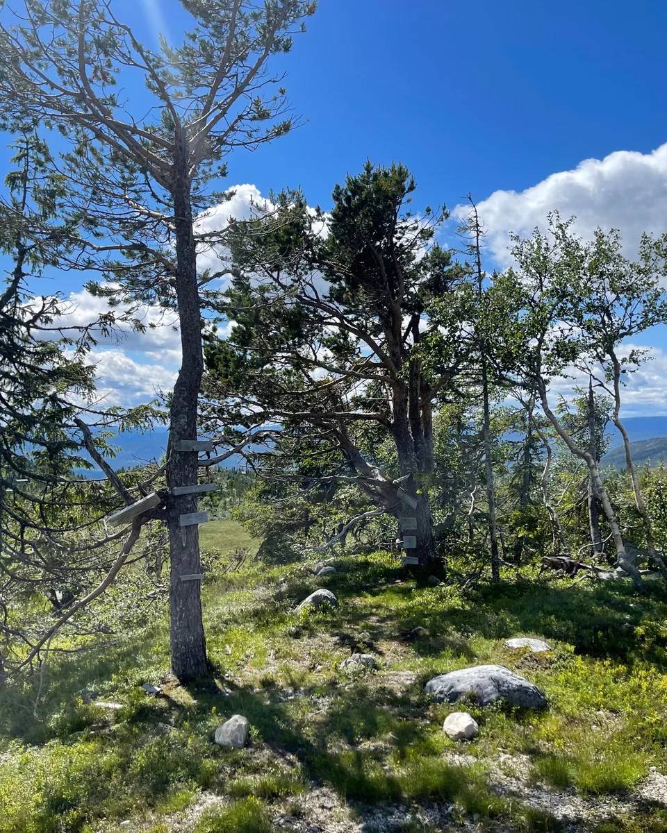 Fantastisk utsiktstomt på Lifjell med panorama utsikt – photo 3