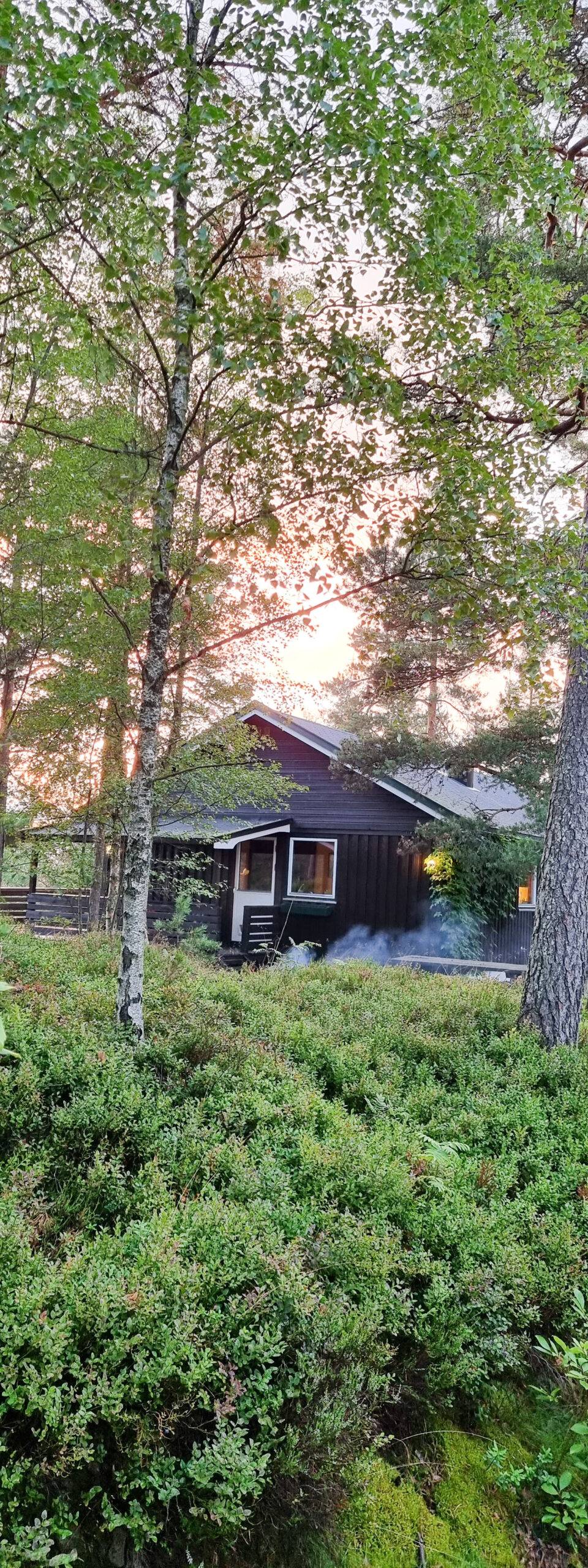 Sentral hytte med gode leieinntekter – bilde 3